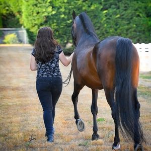 Meet your Posher, Erin